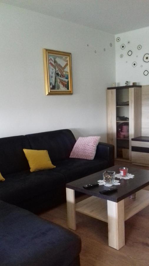 Apartman Lana ,Froudeova Ulica 3 Nasuprot Zg Velesajma Lägenhet Zagreb Exteriör bild